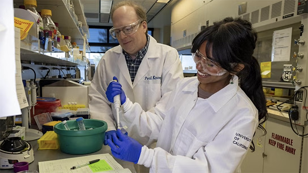 UC Davis scientists working in a lab